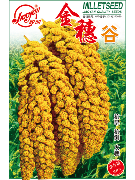 金穗谷——杂粮杂豆
